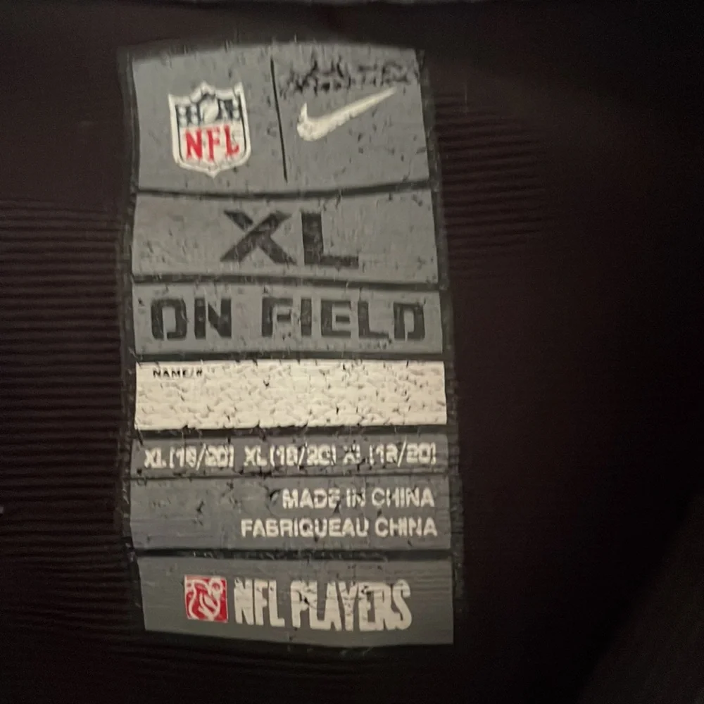 RAY RICE JERSEY - Picture 3 of 6